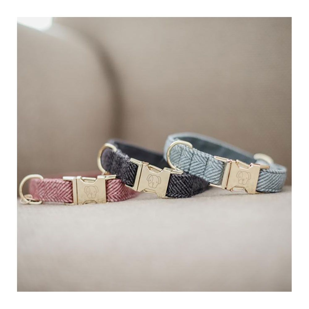 Kentucky LAINE -  Collier pour chien gris
