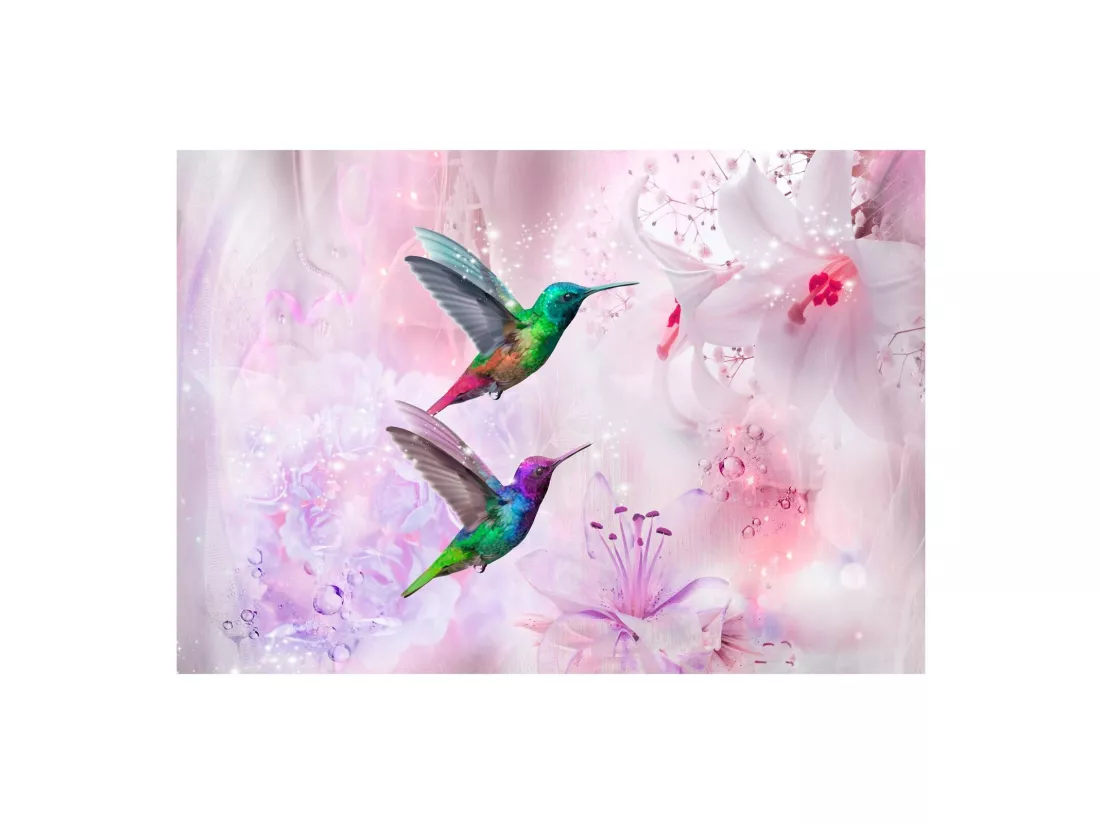 Papier peint colibris colorés violet - 400 x 280 cm