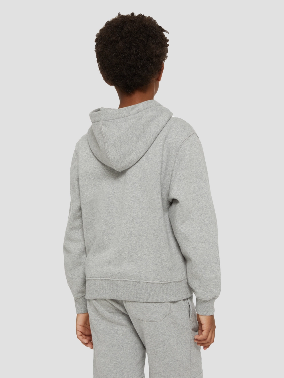 Dickies Logo Kids Hoodie heather gray