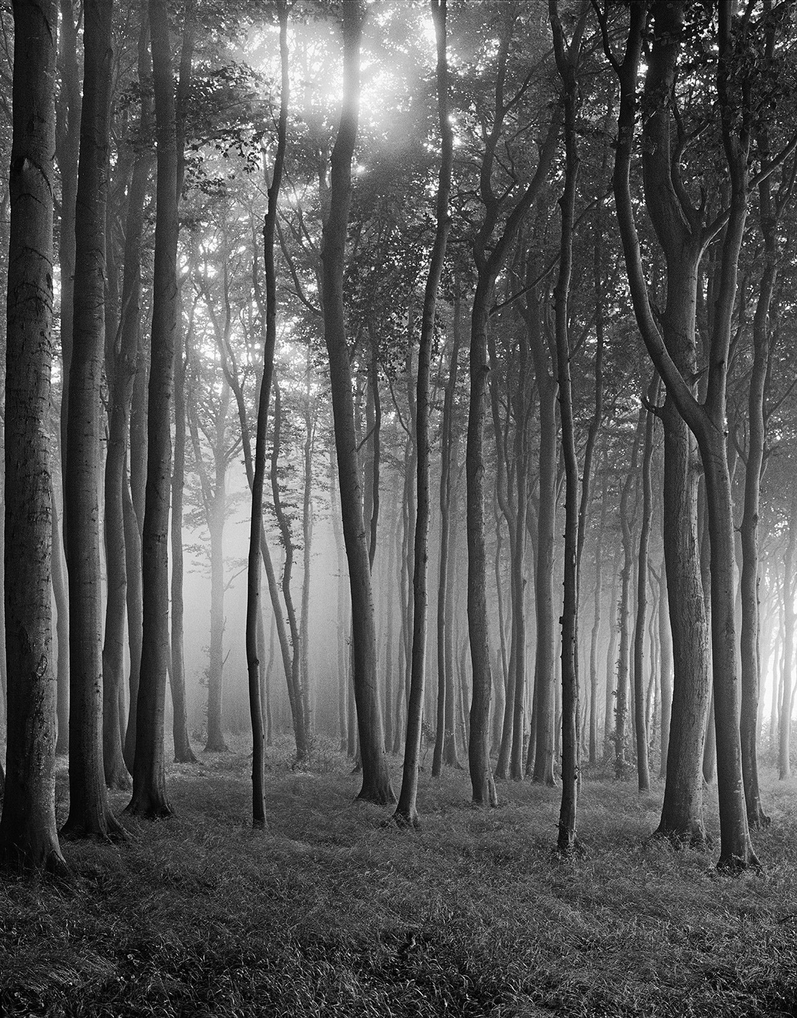 Wittow I by Ralph Von Kaufmann - Limited Edition. Edition of: 150. Signed.
