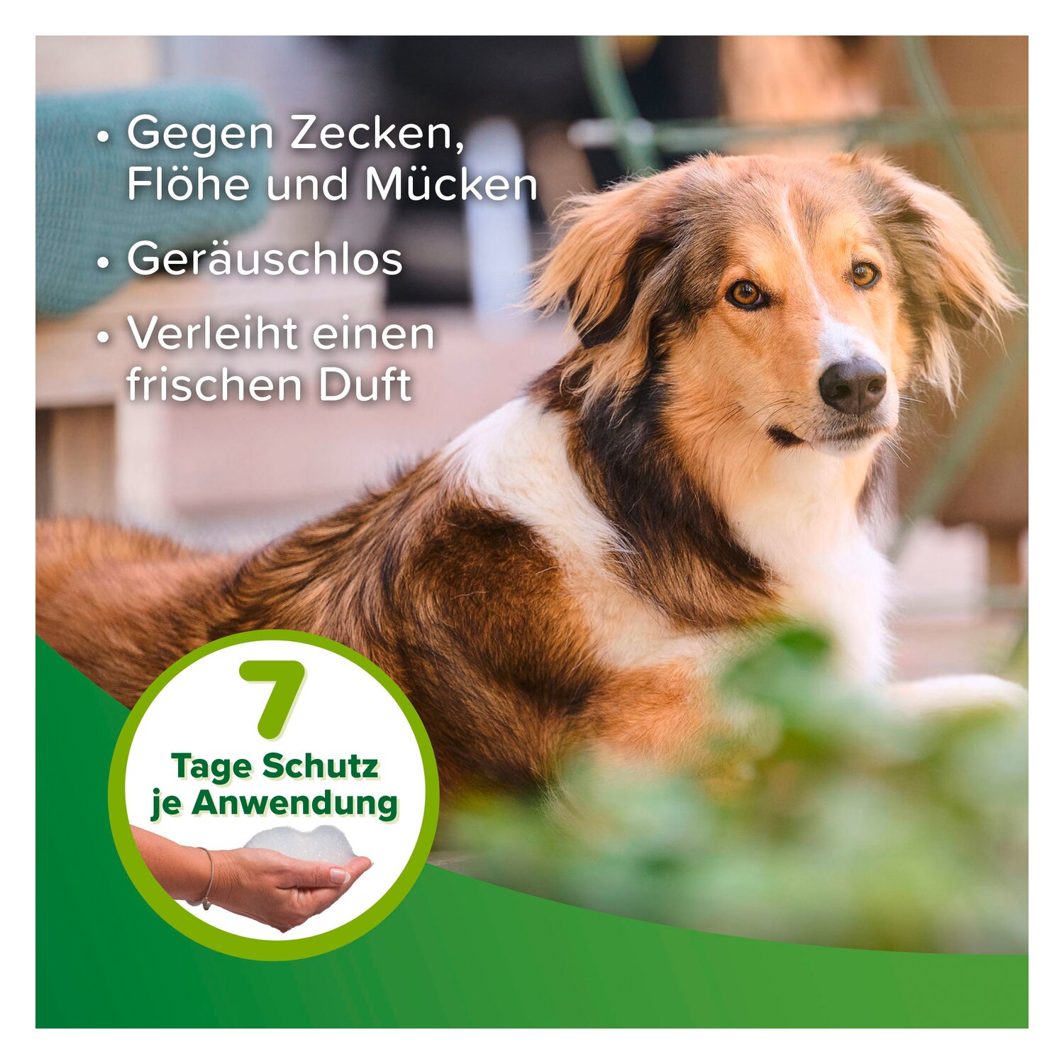 beaphar Zecken- und Flohschutz Shampoo  - 250 ml