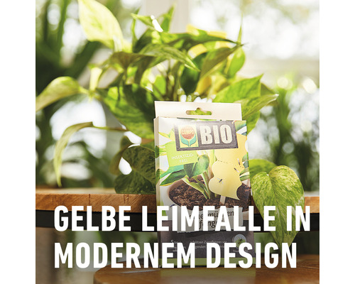 Gele kleefvallen tegen plantenplagen COMPO BIO rouwvliegvallen 5 stuks insecticidevrij