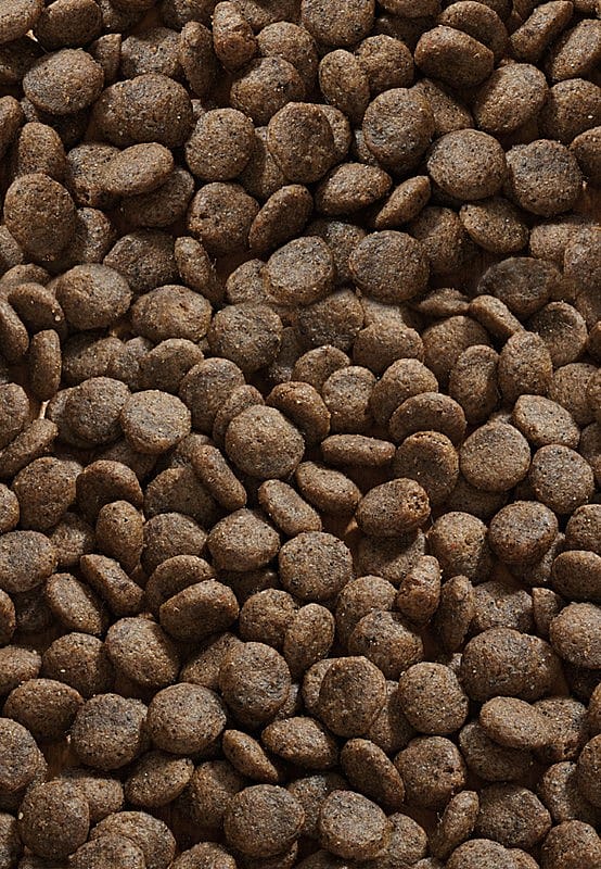 Vet-Concept Cat Allergy Hert Kattenvoer | 3 kg | 13327.1