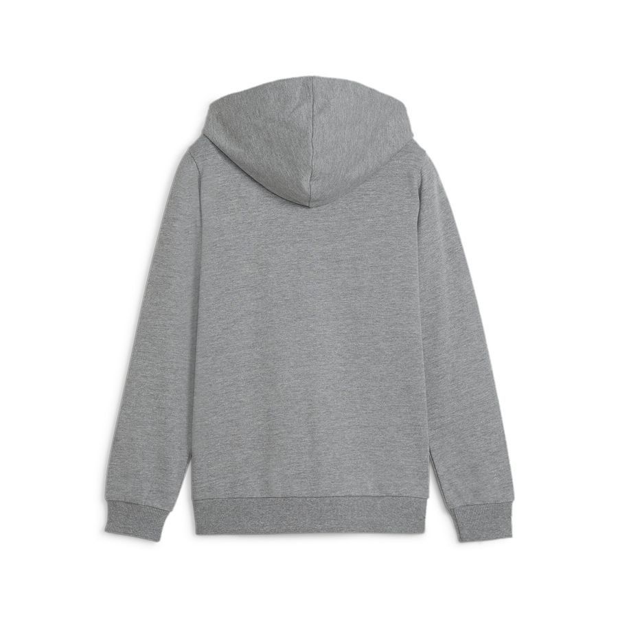 PUMA Sweat à Capuche teamGOAL Casuals Full Zip - Gris/Blanc Enfant