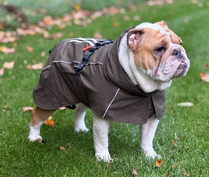 Hunter - HundejakkeNordby Mops og Bulldog 32, orange
