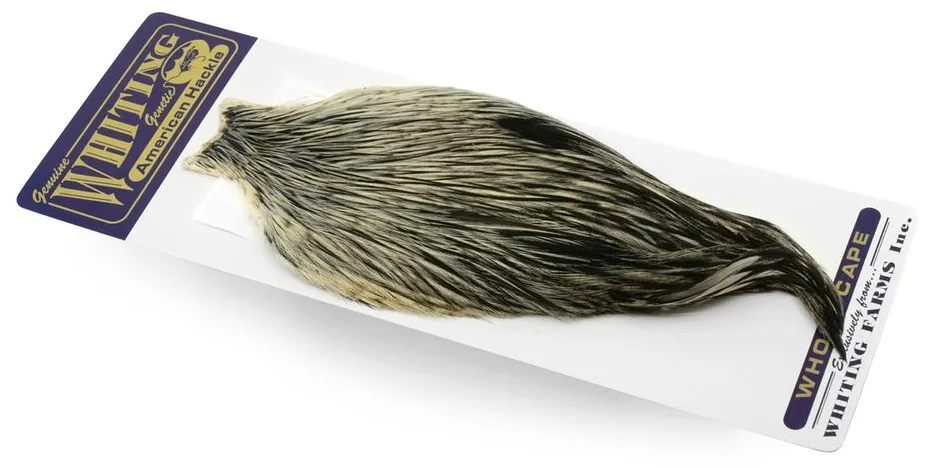 Whiting American Rooster Cape