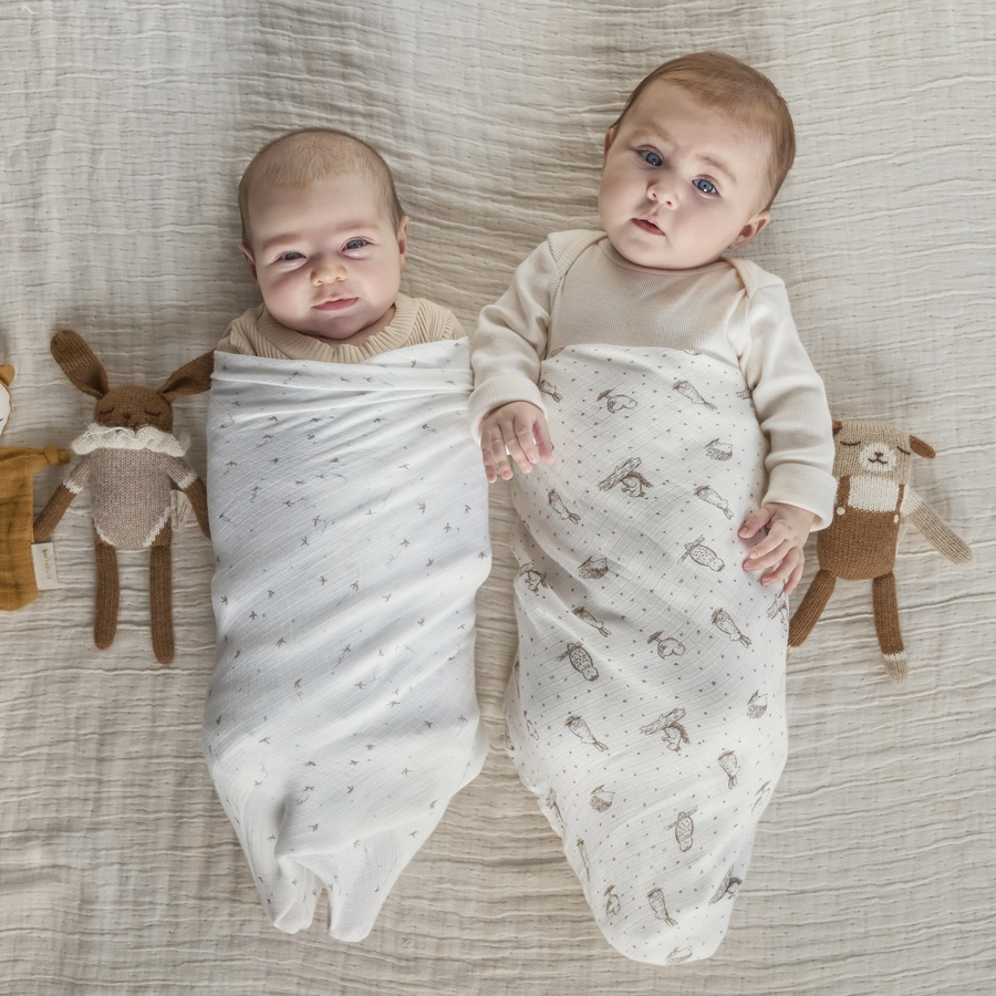 aden + anais™ essentials silky soft Pucktuch 2er-Pack healing nature