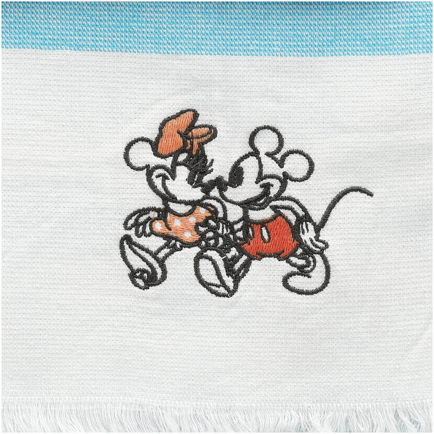 Disney Hammamhanddoek 100x165cm