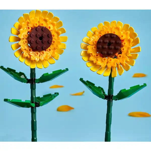 40524 Sonnenblumen