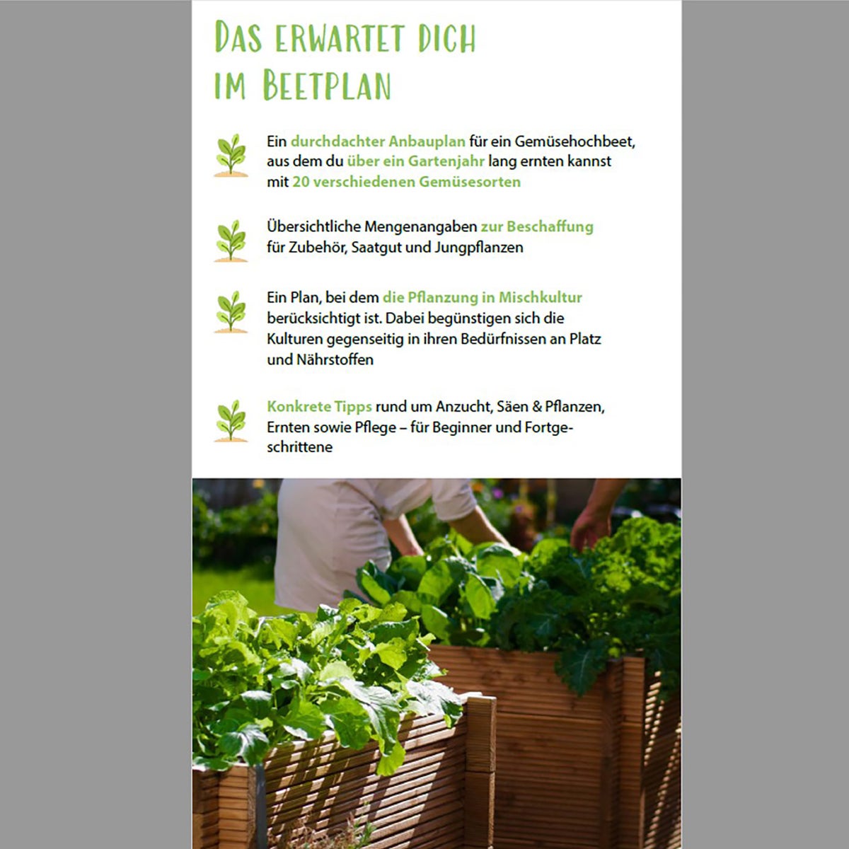 E-book: Verhoogd bed, digitaal bedplan, beplantingsplan, instructies, zaaien, verzorgen en oogsten, zelfredzaamheid