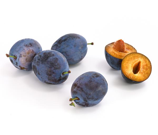 Zwetschge 'Haganta'