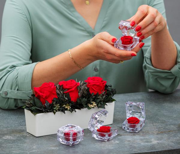 Dehner Keramik-Jardiniere mit Longlife-Rose
