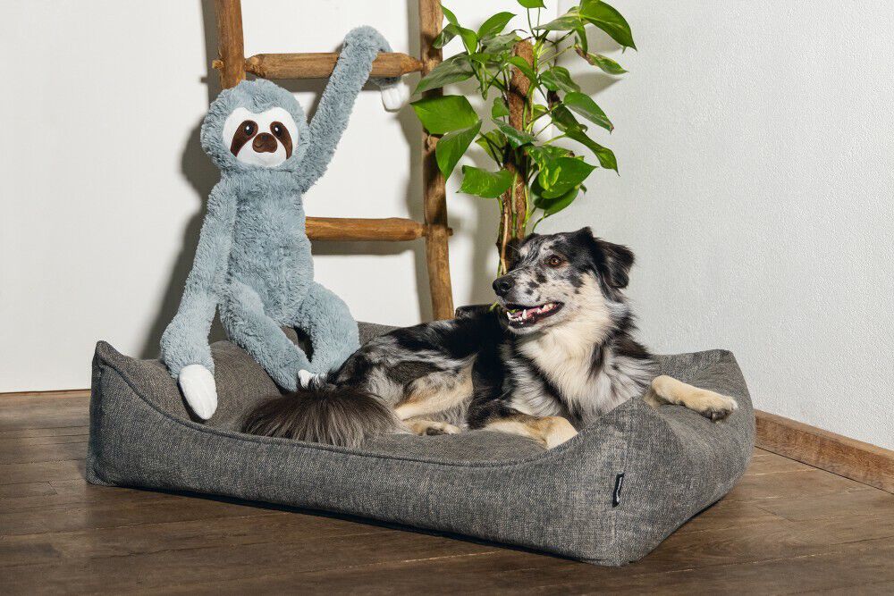 Beeztees Luiaard Knuffel - Hondenspeelgoed - Grijs - 16x30x80 cm - XL