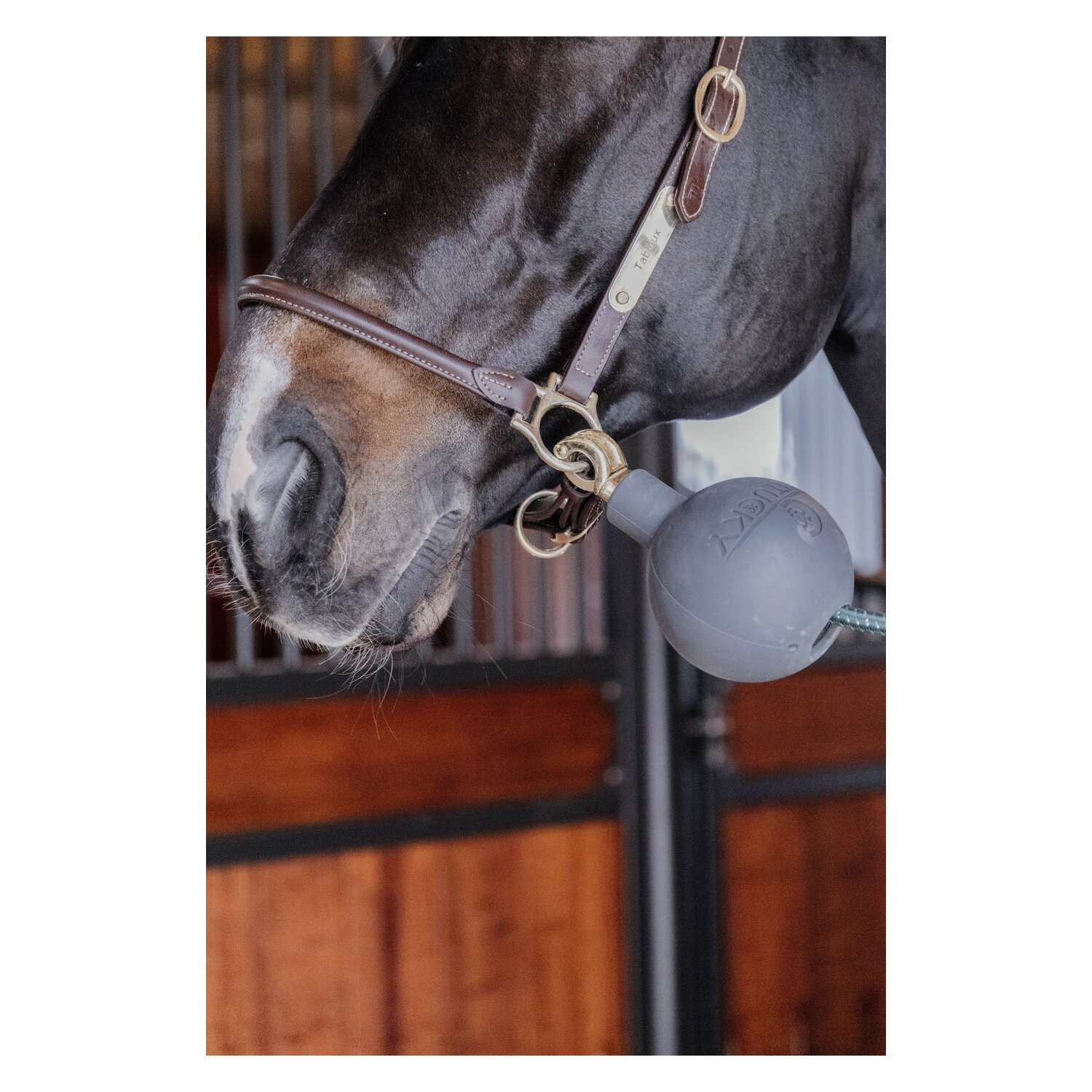 KENTUCKY Strick- und Wandschutzball  - grau