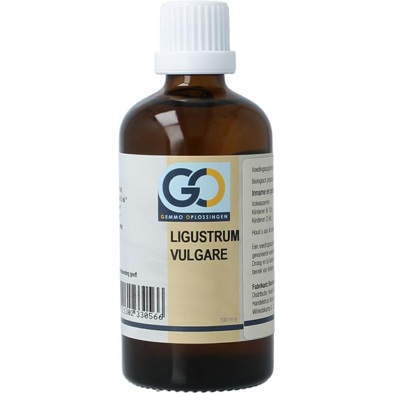 Go Morus Nigra Bio (100 ml)