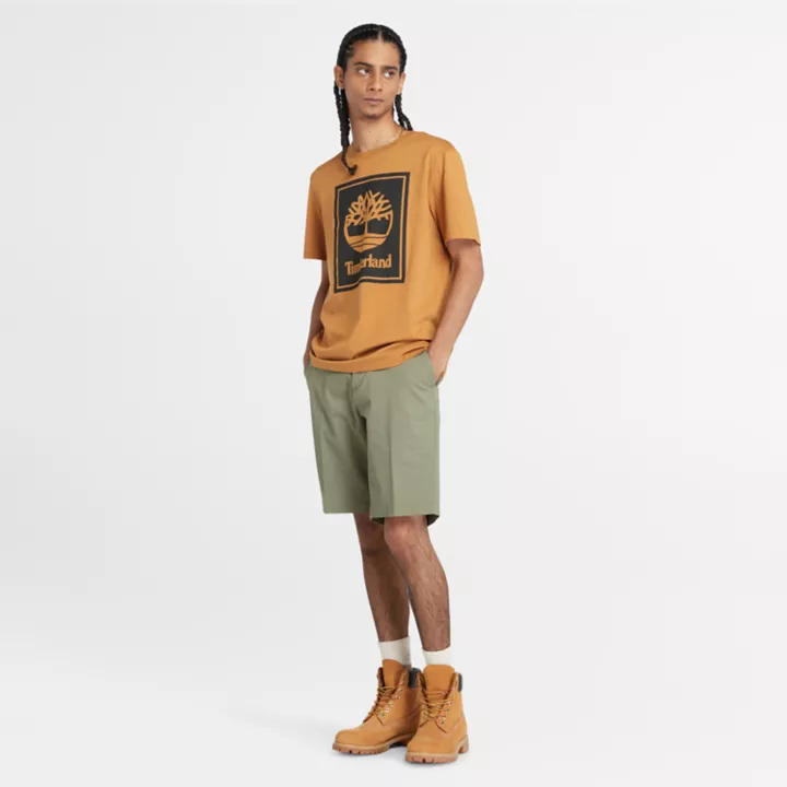 Short chino en sergé extensible pour homme en vert clair
