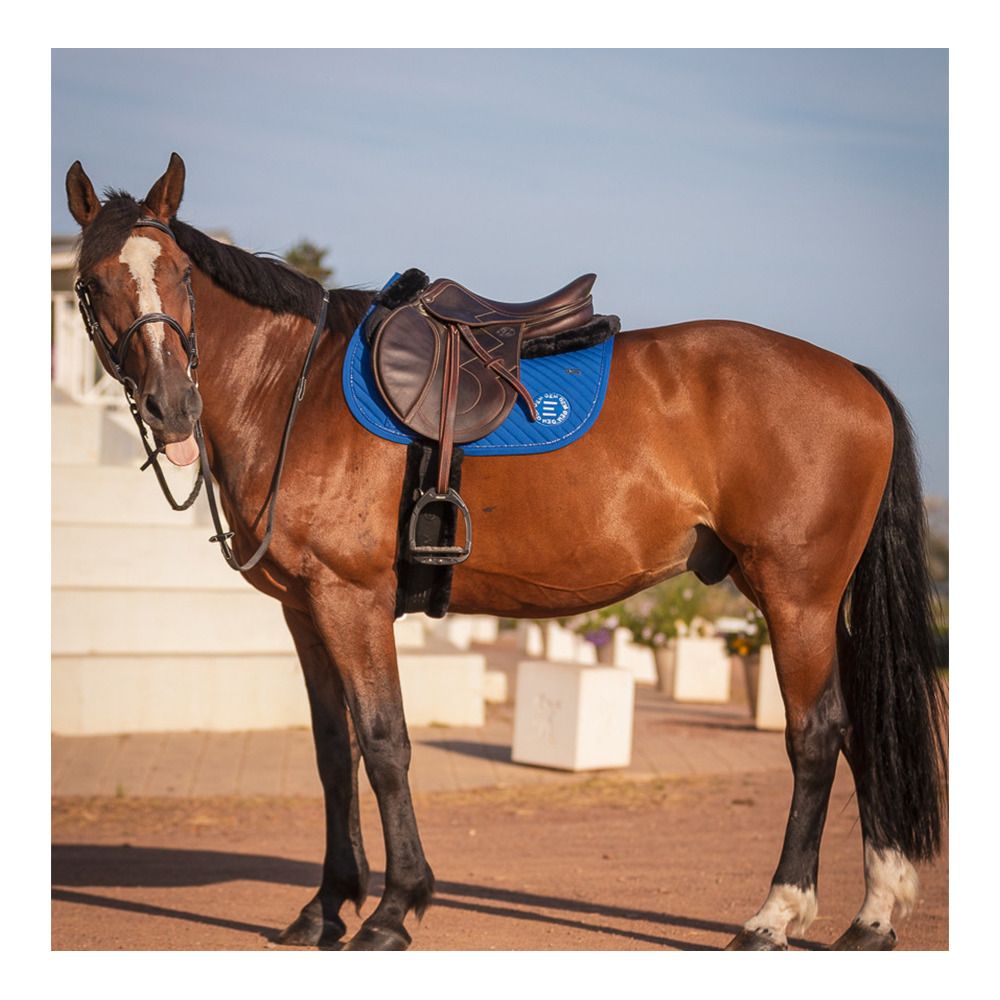 Gem SONY - Tapis d'obstacle bleu roi