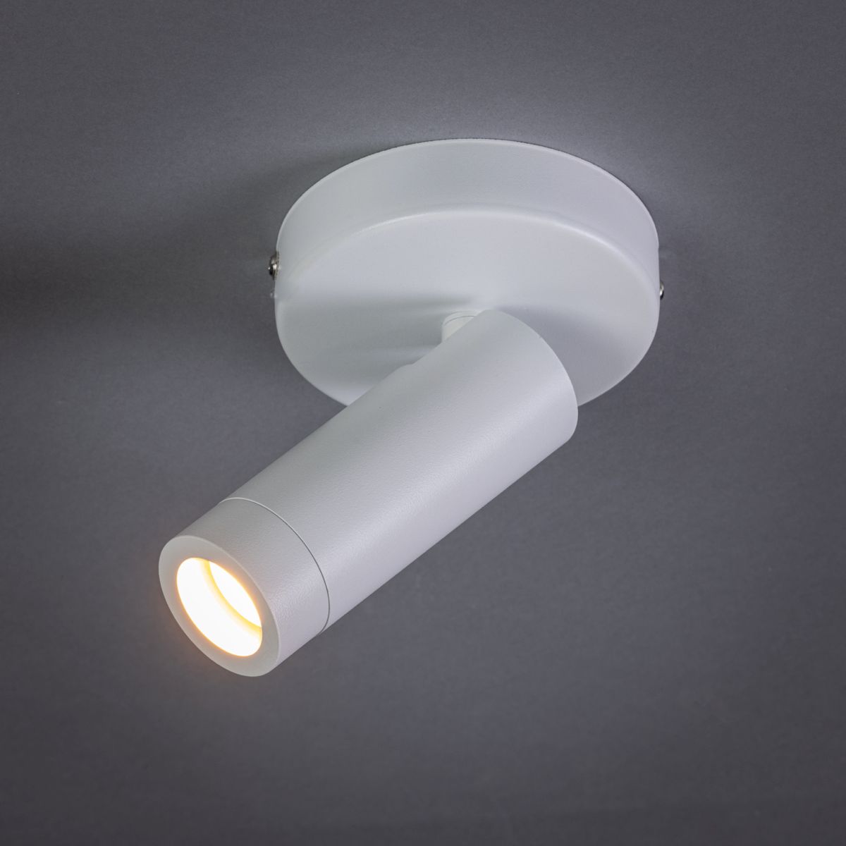 Plafondlamp 05-SP1360-31 Miller  | ETH⌀45  x H12 cm
