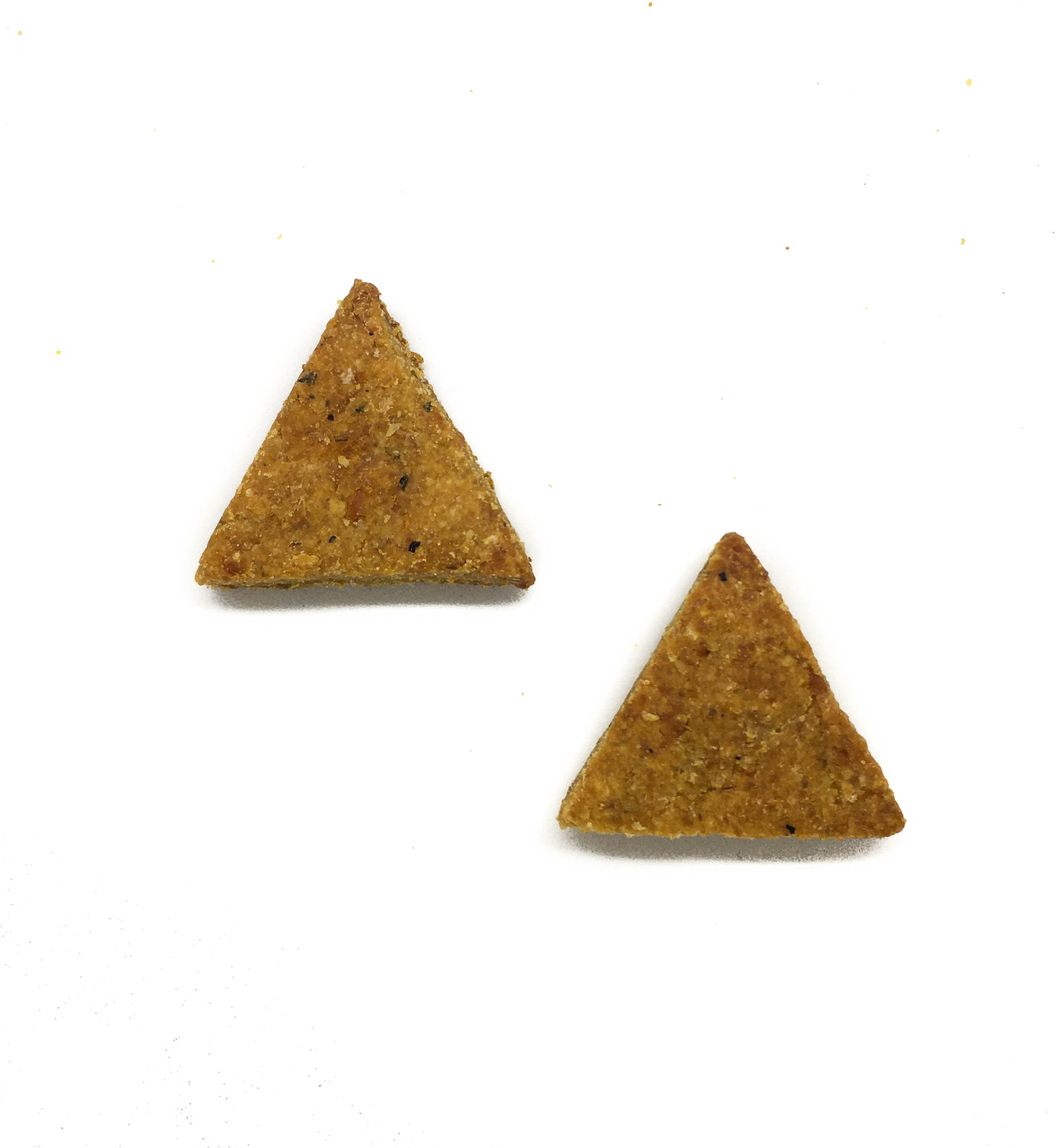FlooppBITES Go Veggie! pacote de biscoitos naturais para cães