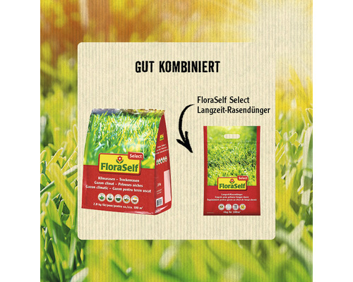 Droog gras - klimaatgras FloraSelf Select 2,8 kg / 100 m²