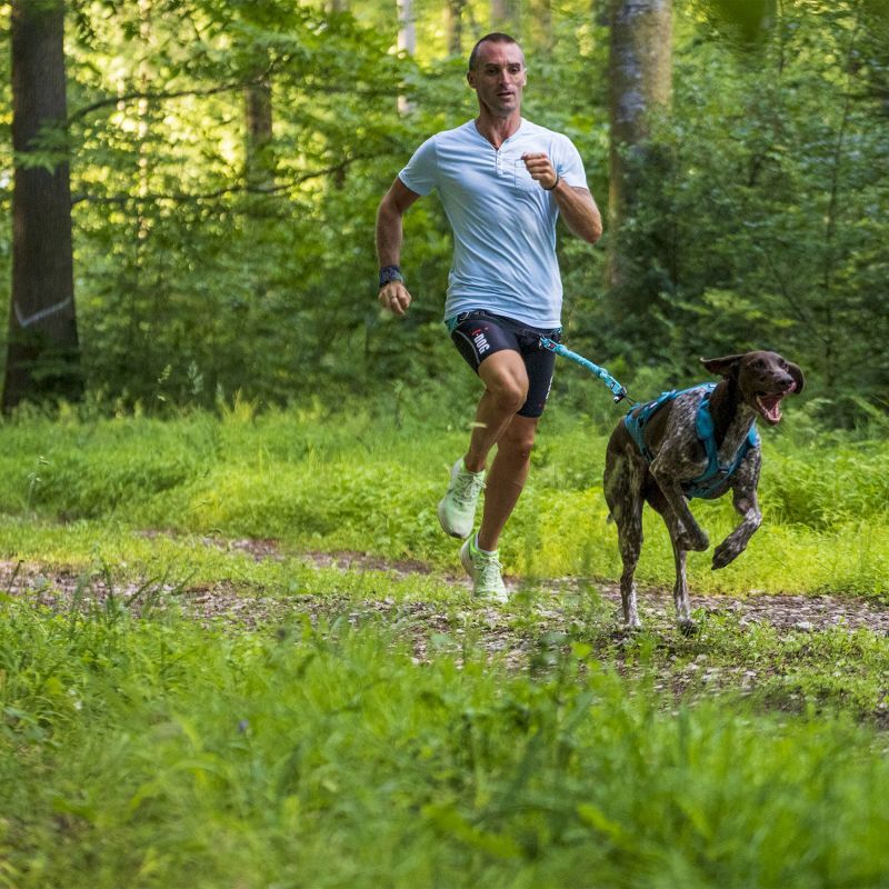 X-Back Phoenix ALM - Harnais pour chien