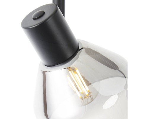 Plafondspot, 2-lichts, HxL 19,5x43 cm, matzwart/rookglas