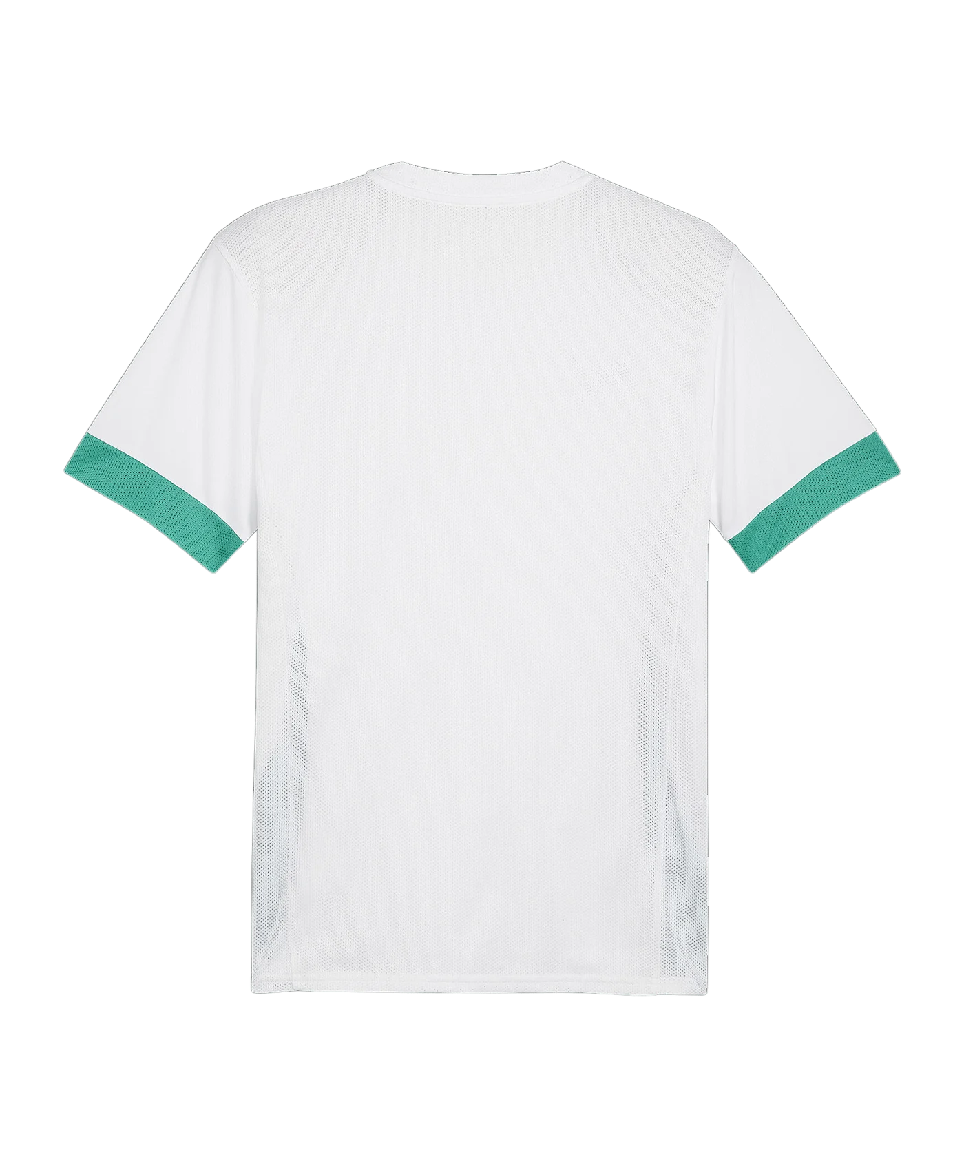 PUMA teamGOAL Matchday Trikot Weiss Grün F15