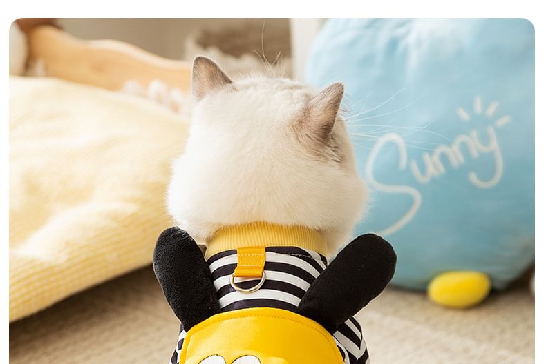 Cissilli - Algemeen dierenhuisdier