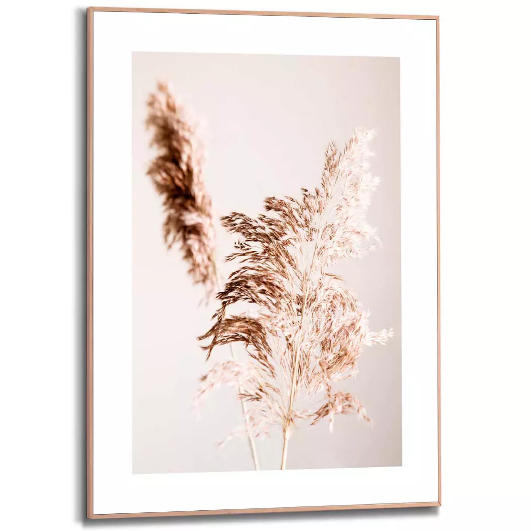 Wandbild 50 x 70 cm Pampasgras