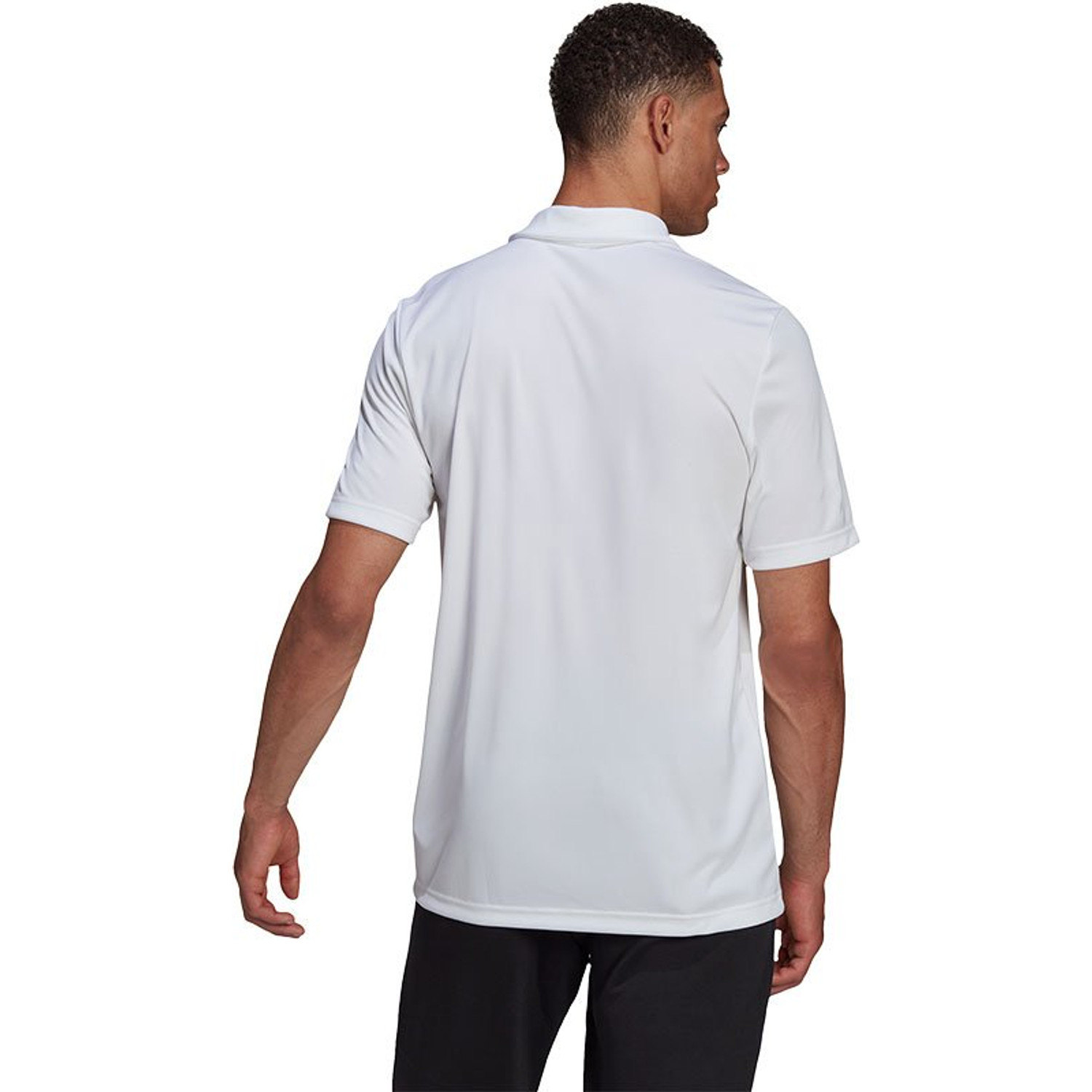 adidas Entrada 22 Polo