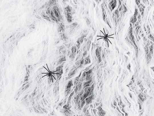 Partydeco Spinnengewebe 200 g, Weiss, 2 Spinnen Raumdeko Spinnennetz für Ihre Halloween Party