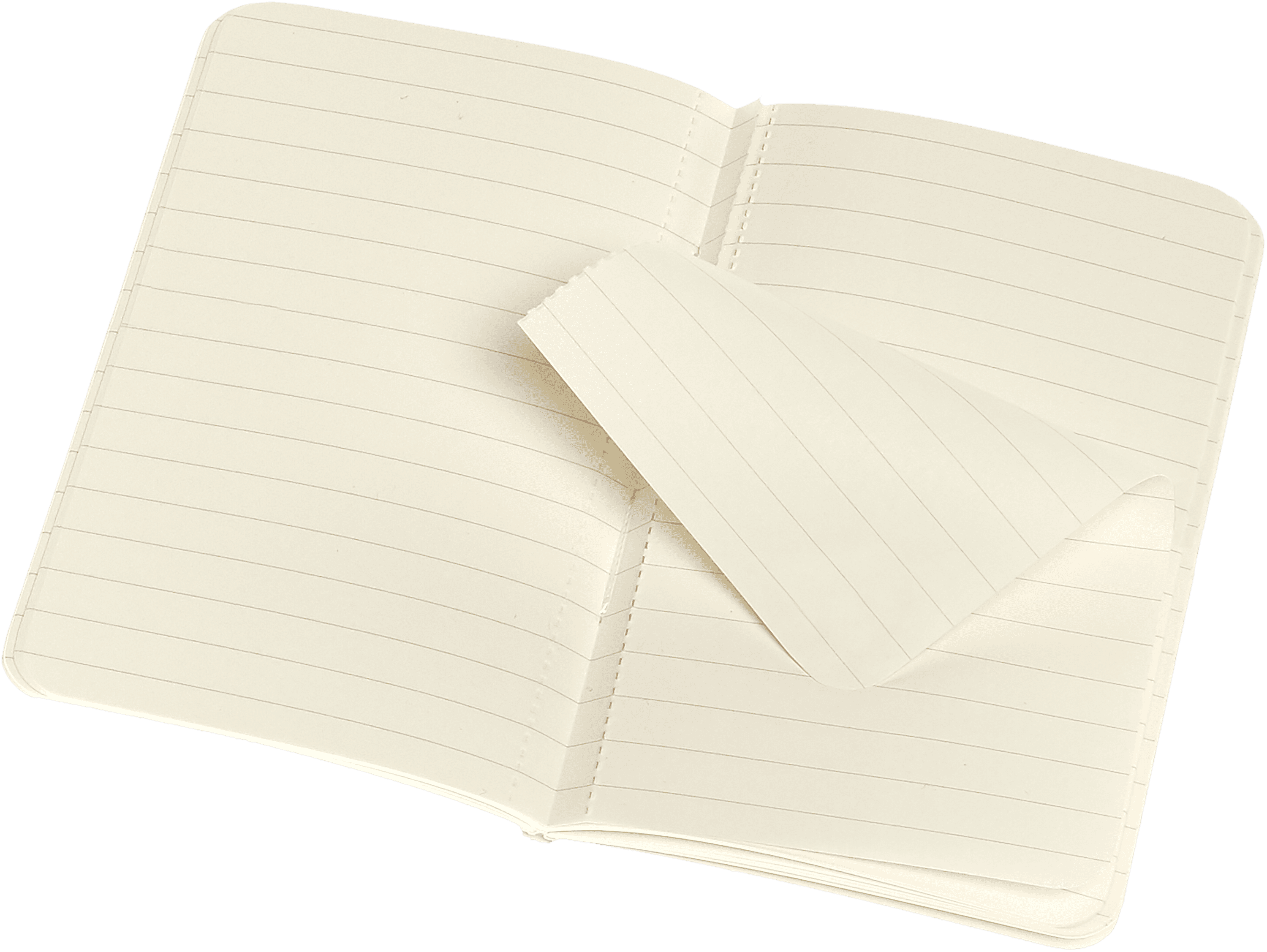 Volant Journals Set of 2