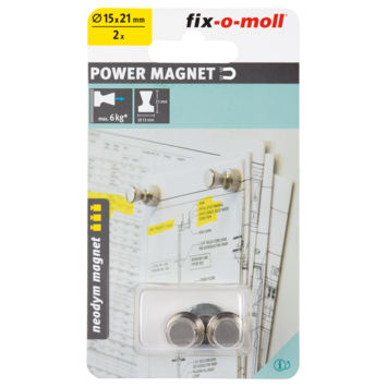Magneet pion Neodymium zilver 15x21mm 2 stuks