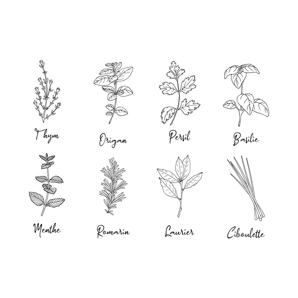 Stickers adhésif mural aromates 61x45cm