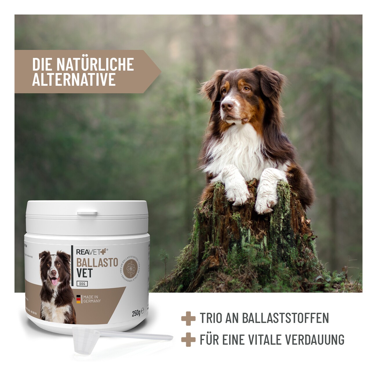REAVET BallastoVET 250g