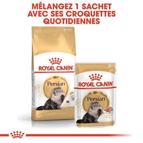 Mousse chat Persan Adulte 12x85g