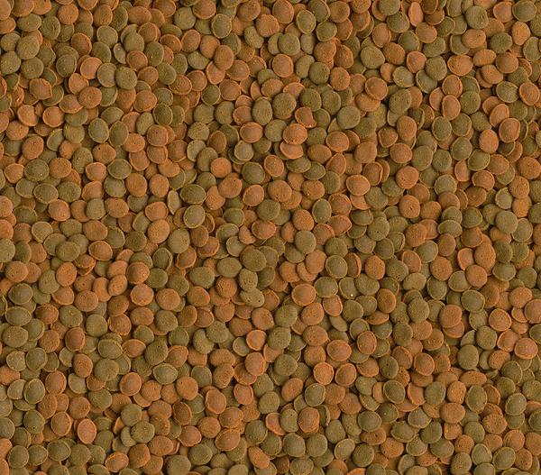 Tetra Fischfutter Wafer Mix