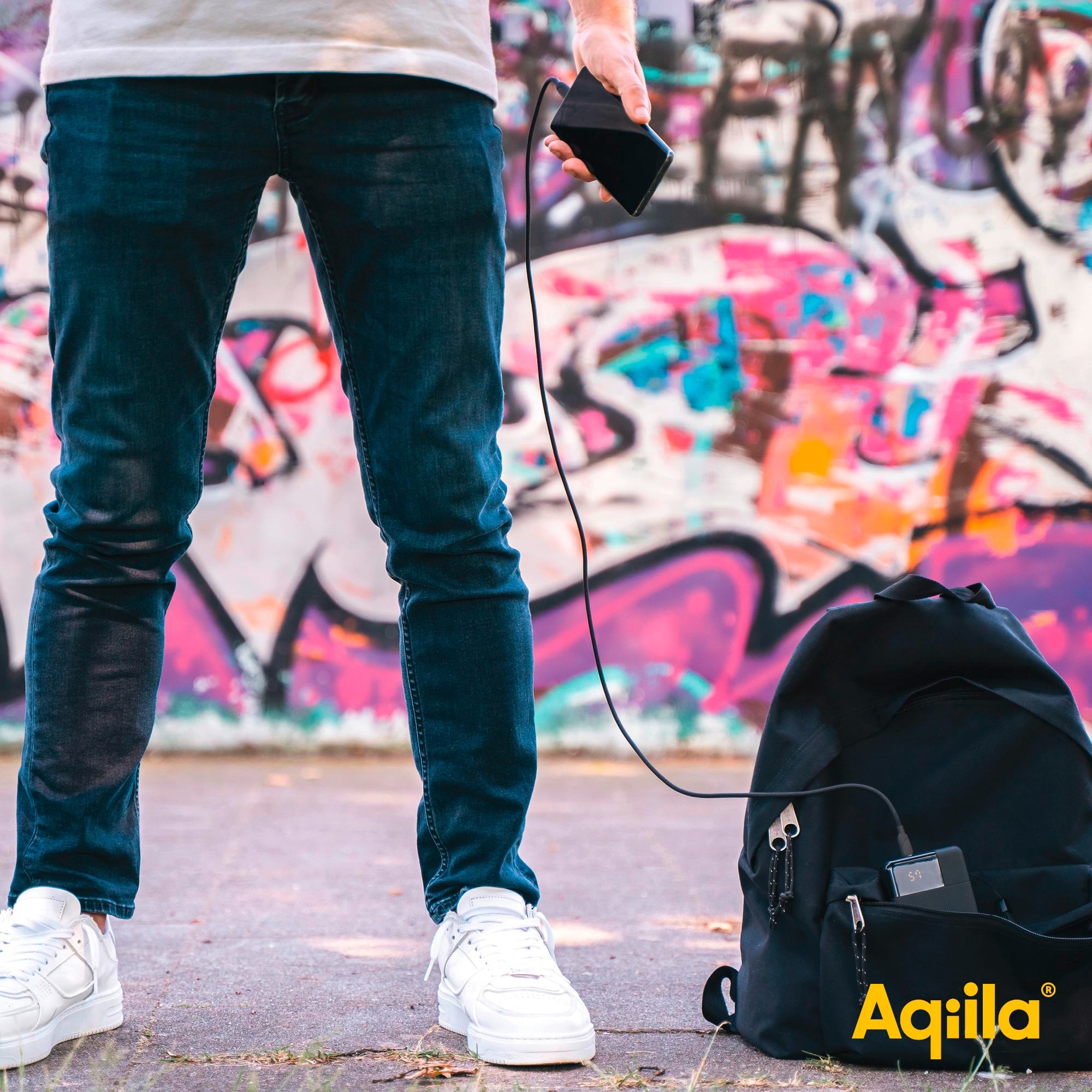 Aqiila Powerbird Powerbank 65 W 20000 mAh schwarz