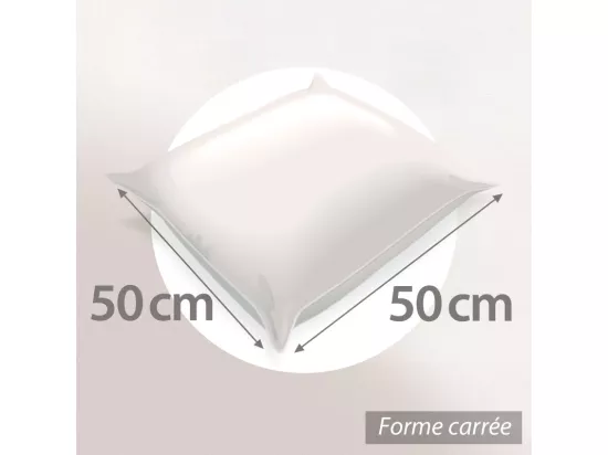 Oreiller 50x50 cm GRIZZ'LIT PLUMES 100% Plumes de Canard
