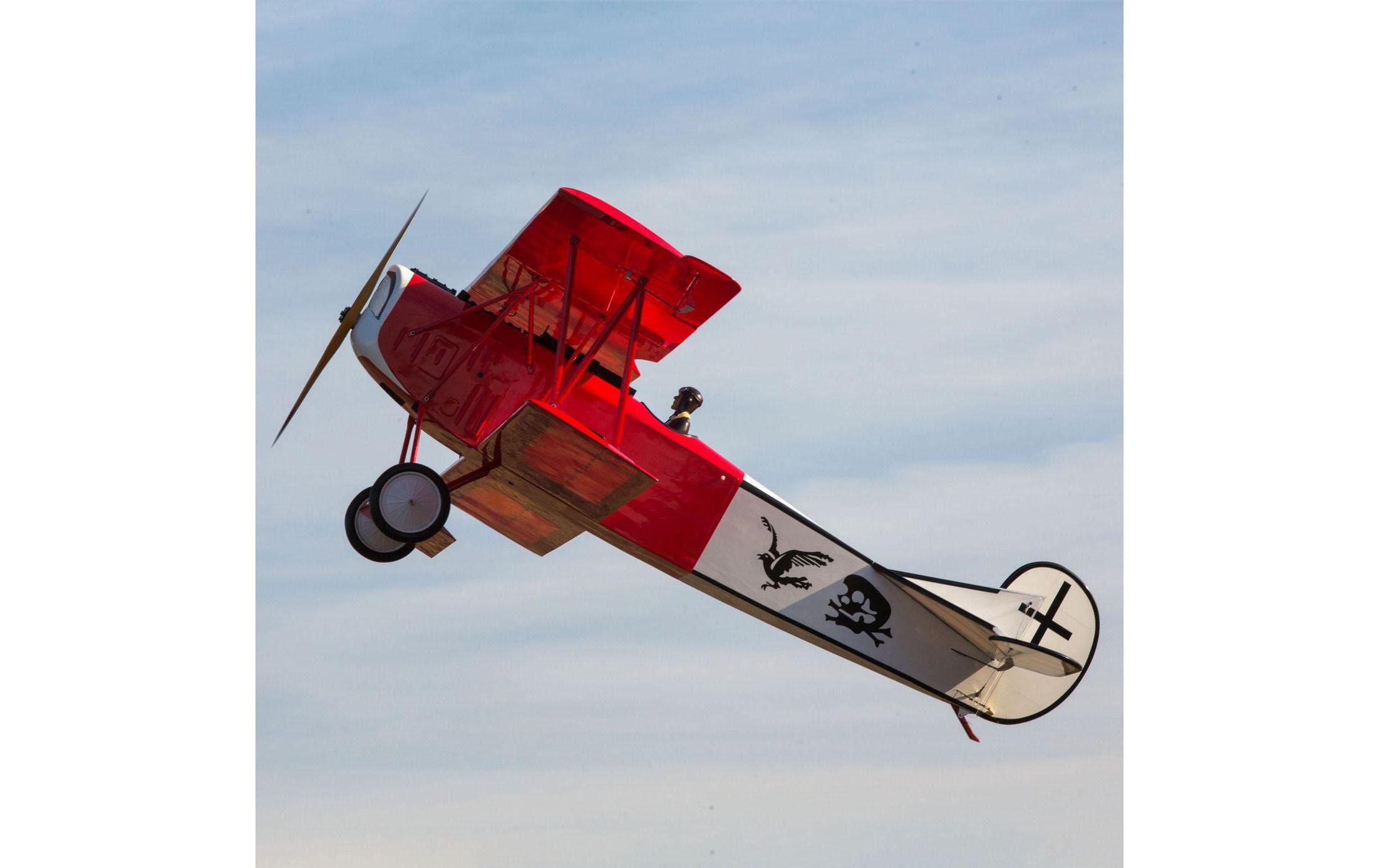 Flugzeug Fokker D.VII ARF<br>Warbird