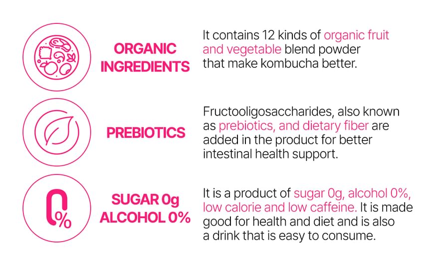 SUNMANC - Tea For Better Life Kombucha Bundelset