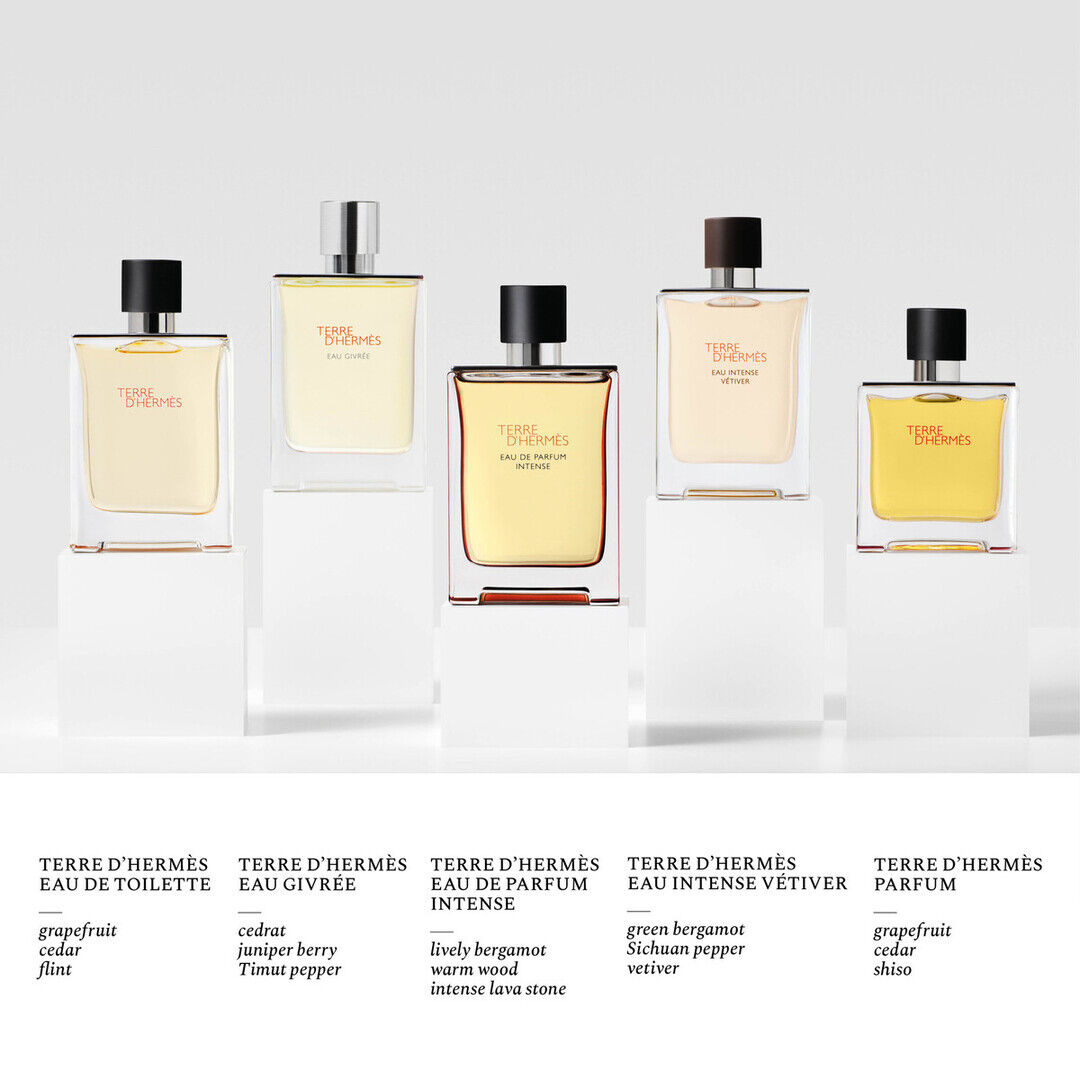 Hermès TERRE D'HERMES Eau Intense Vétiver - 100ml