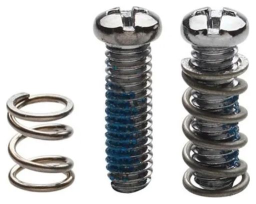 Ressort et Vis Campagnolo pour Dérailleur Super Record / Record et Chorus 11V