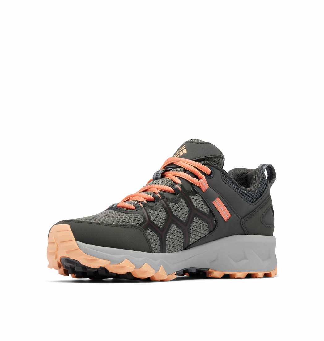 Columbia Peakfreak II Damen Wanderschuhe ti grey steel lychee