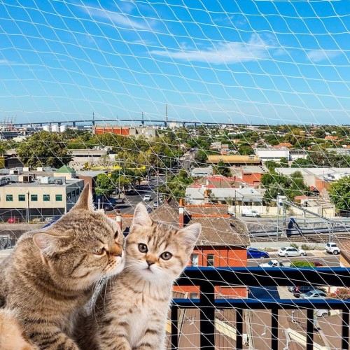 Rede de segurança para gatos