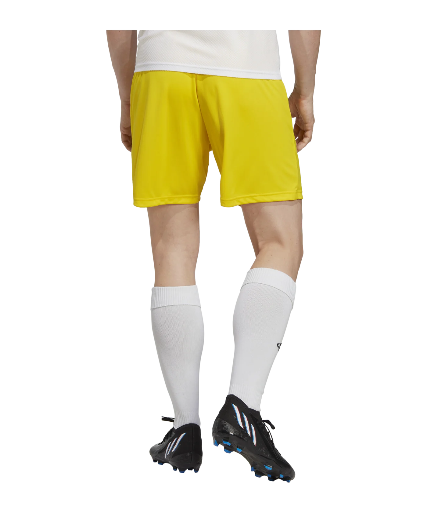 adidas Entrada 22 Short Gelb