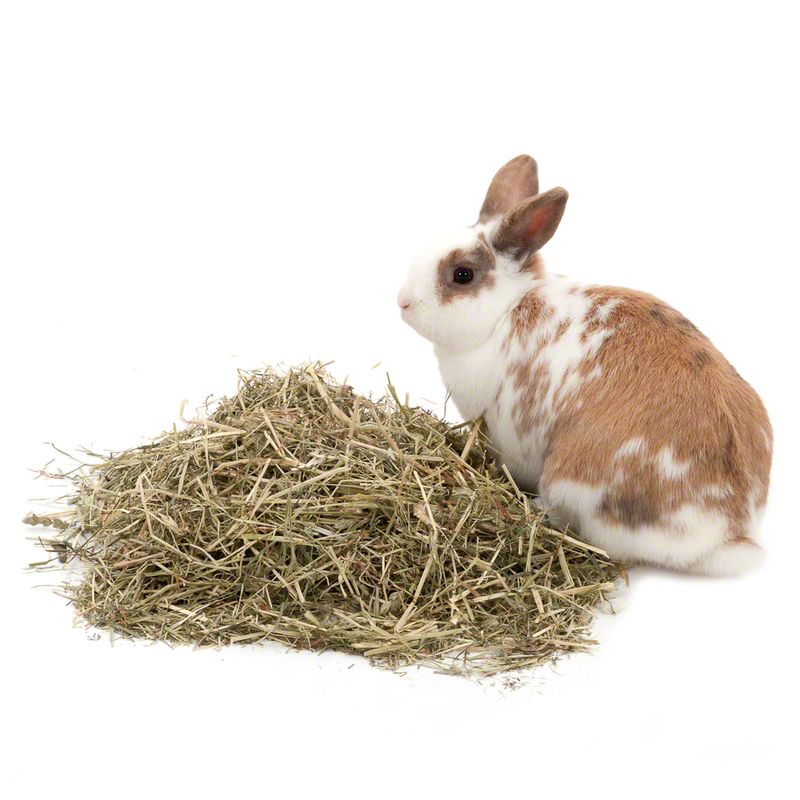 Vilmie Foin de prairie pour rongeur et lapin
