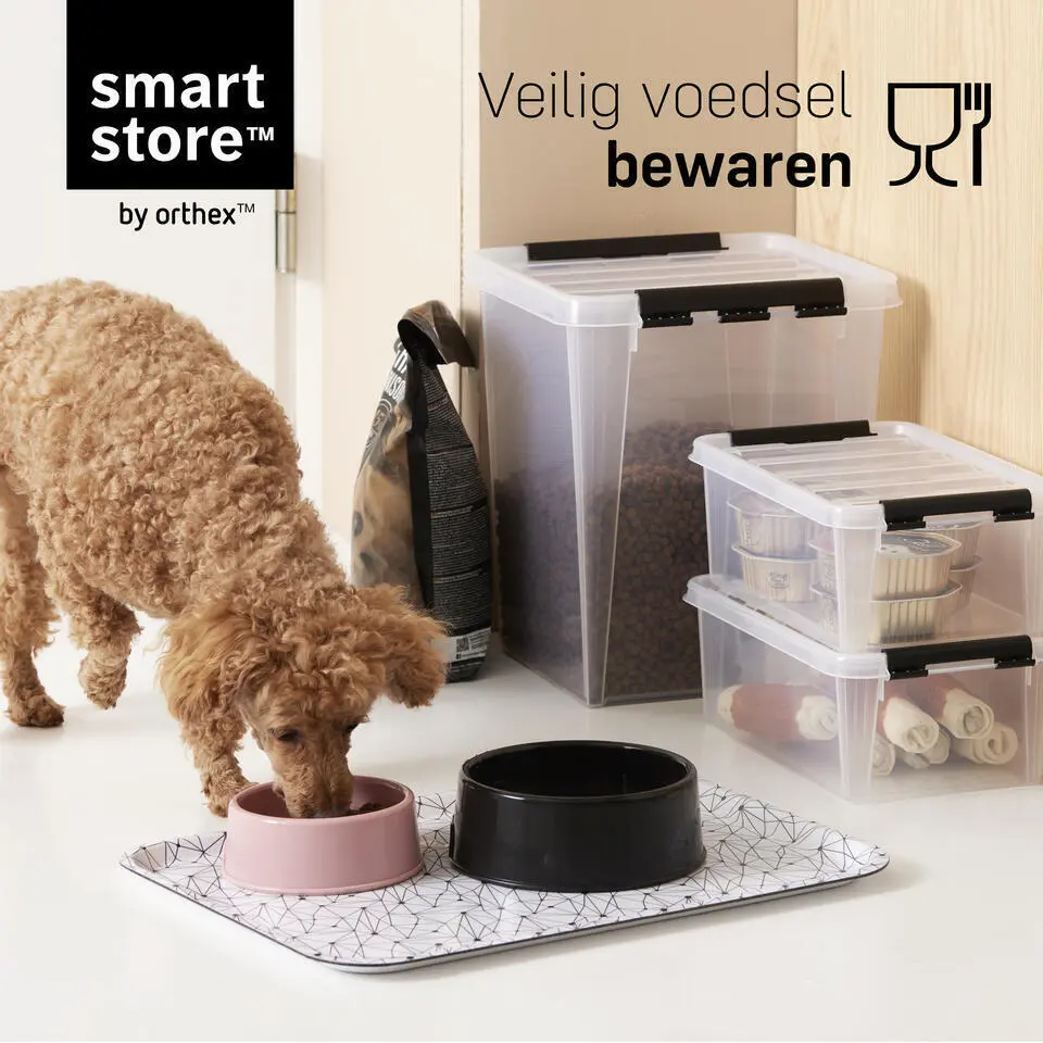 SmartStore Stevige Opbergbox 8L Set van 2 - 34x25x16cm