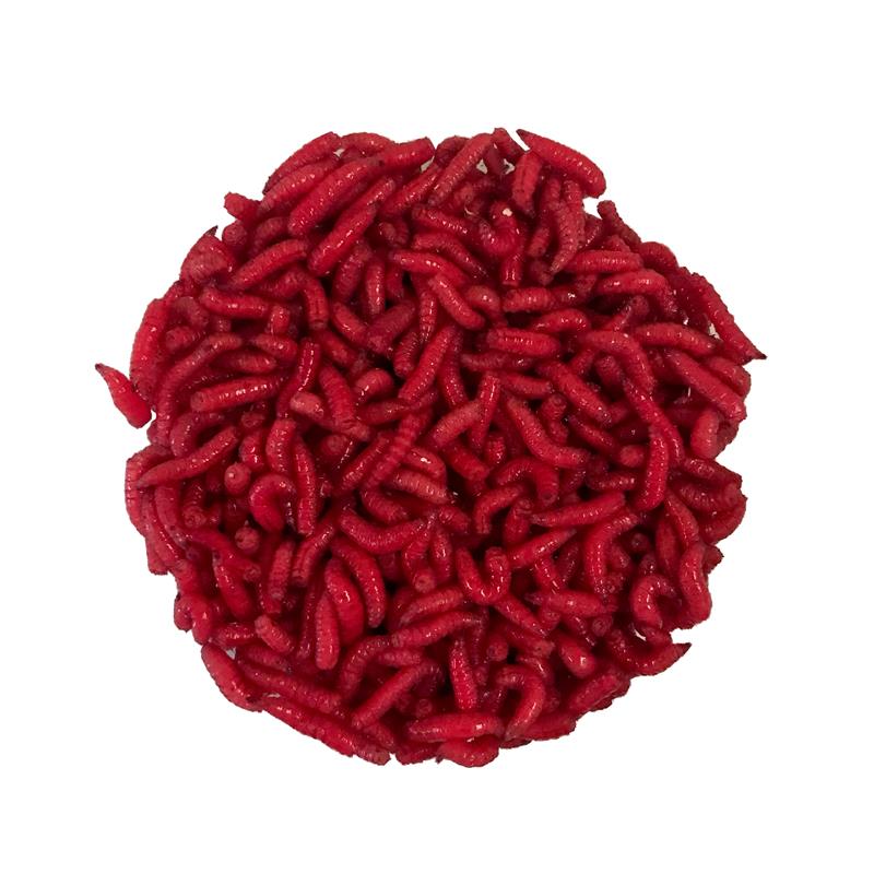 Asticots Gozzers Rubis