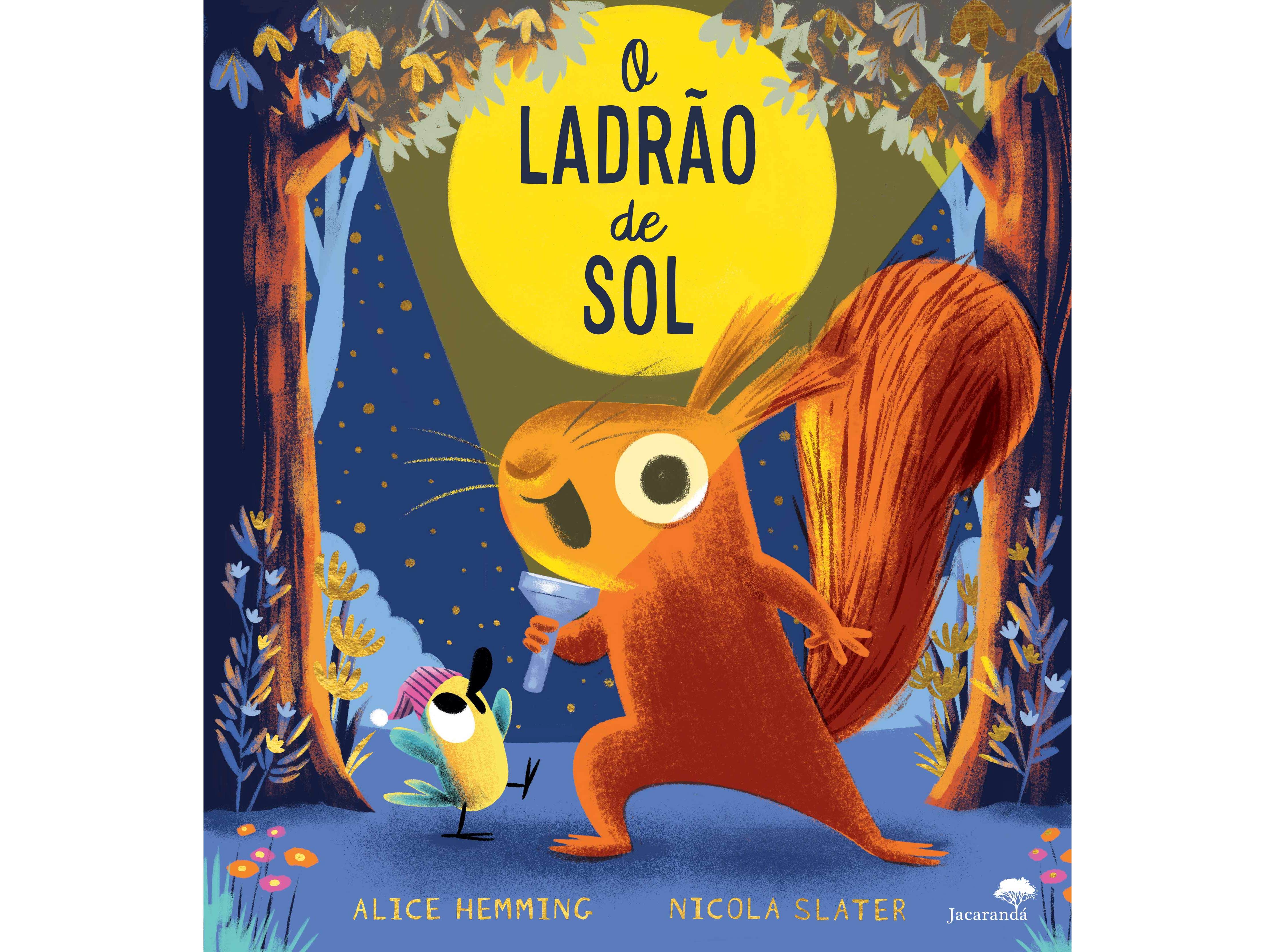 LIVRO O LADRÃO DE SOL DE ALICE HEMMING NICOLA SLATE